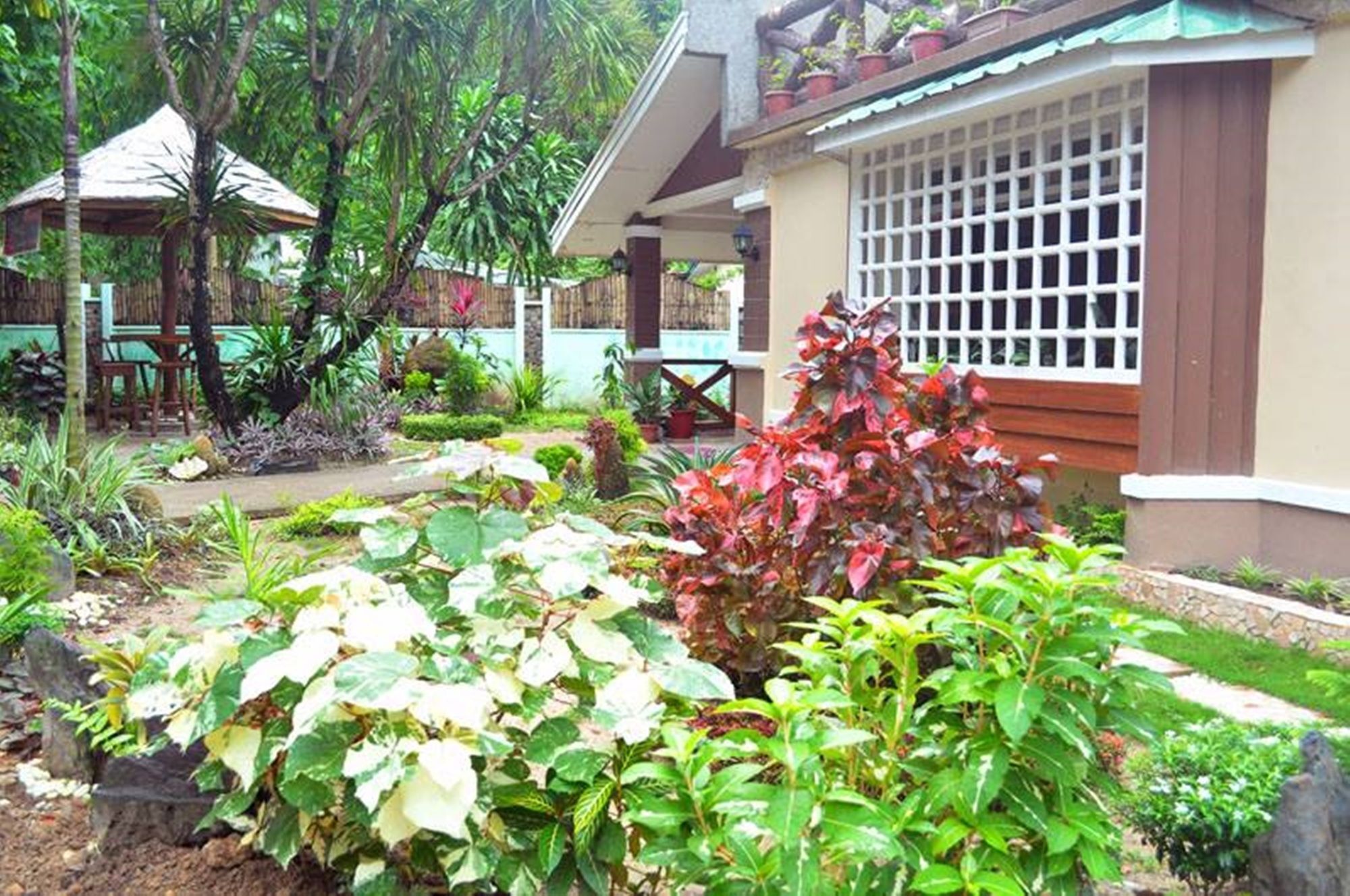 พีคเฮาส์ การ์เด้น เพนชั่น Bed & Breakfast เอลนิโด ภายนอก รูปภาพ